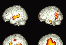 New Brain Study Reveals How Bilingual People Process Language