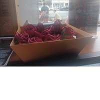 Boston Symphony Cracks Down On People Distributing Red Flowers At Tanglewood