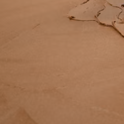 This Artwork Requires Covering The Gallery Floor In Peanut Butter