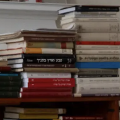 How Many Books Is Too Many Books For A New York City Apartment?