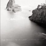 ‘The Wild Heart’ Dylan Mattingly Makes Debut on Nonesuch Records