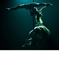 A Whole Crop Of Pole-Dancing Shows At This Year’s Edinburgh Fringe