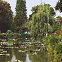 This Summer’s European Heat Waves Are Damaging Monet’s Gardens At Giverny