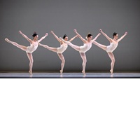 San Francisco Ballet Performs At Jacob’s Pillow For First Time In 70 Years