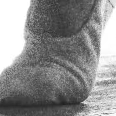 Ballet Might Help Stave Off Dementia