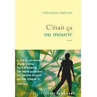 Author Of One Of France’s Biggest Hit Novels Of The Year Accused Of Using AI
