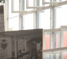 Far-Right German Party Attacks Iconic Bauhaus School