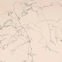 How Haiku Became Hungarian