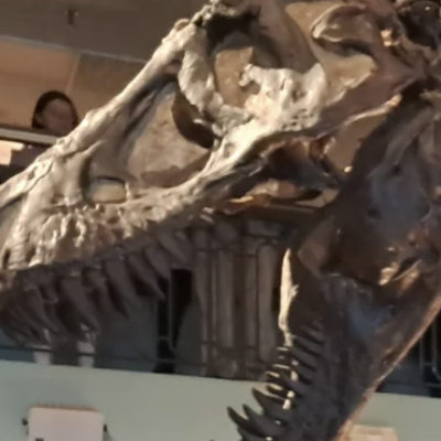Philadelphia’s Beloved Academy Of Sciences Almost Made It To 200
