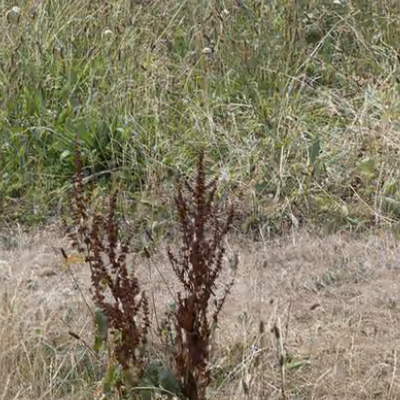 Two Land Art Turf Swaps Reveal How Urban London And Rural Wales Are Doing, Ecologically Speaking