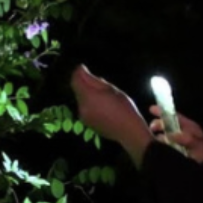Three Recent Films Demonstrate How We See Poetry – And Poets