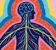 An Alternative Explanation Of Consciousness