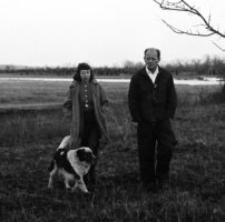 Indivisible: Lee Krasner And Jackson Pollock