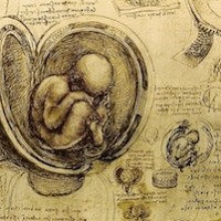 Notebook Drawing of a Fetus [Leonardo da Vinci]