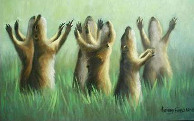 Prarie Dog Rapture