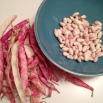 Borlotti beans