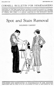 Spot and Stain