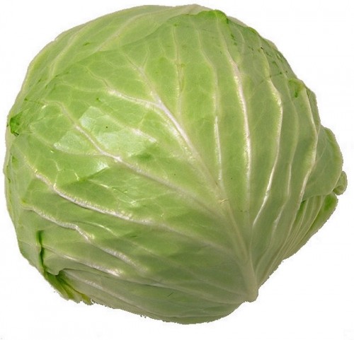 Cabbage