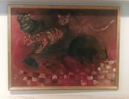 Cats Barbara Jones