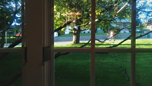 Evening 4414