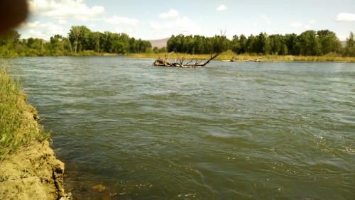 Yakima River Spring 2014