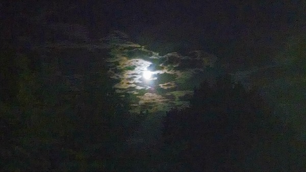 Moon Love # 2