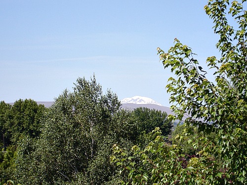 Mt. Adams 61114