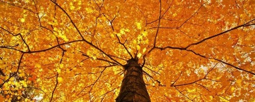 autumn2013wallpapercollection00