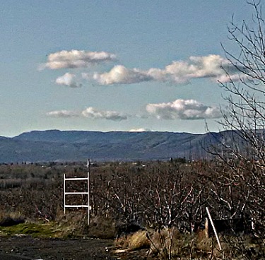 Snowless February