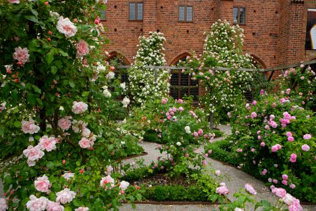 _M3L0441_Rosegarden_Monastery_Ystad_Photo_Lucas_Gohlen