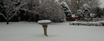 Birdbath in snow # 1