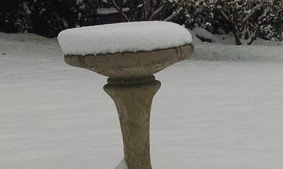 Birdbath in snow # 2