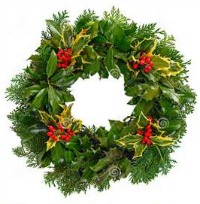 Holly wreath