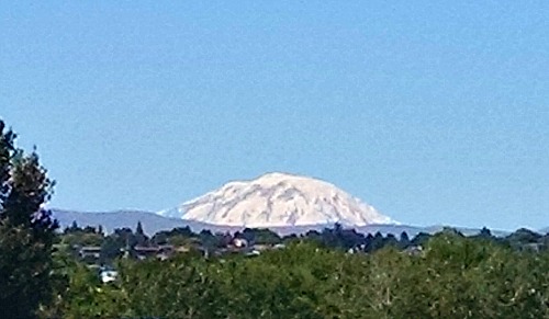 Mt. Adams 6-12-16