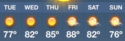 weather-9166