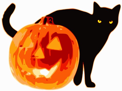 cat-pumpkinreilly
