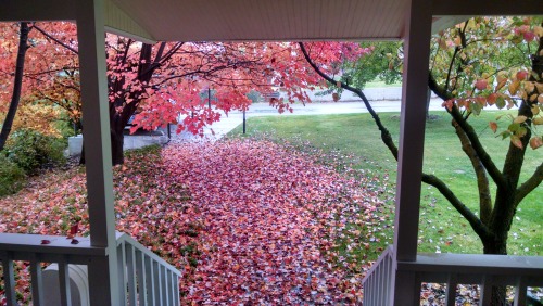 tis-autumn
