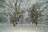 falling-snow-photo-by-serge-melki