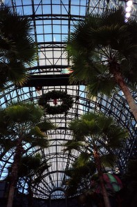 boac palms better